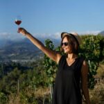 Nice: Vineyard Tour with Wine Tasting - How the Transfer Option Enhances Convenience