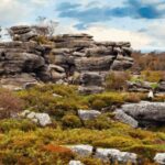 Nidderdale Driving Tour with an APP - Exploring Allerton Castle and Boroughbridge