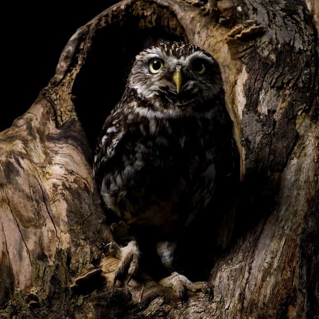 Night hike and stargazing in the Vercors - Exploring the Sunset Over the Vercors Highlands