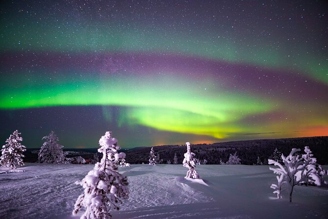 Night Snowshoeing Adventure under the Northern Lights - The Magic of Northern Lights Viewing
