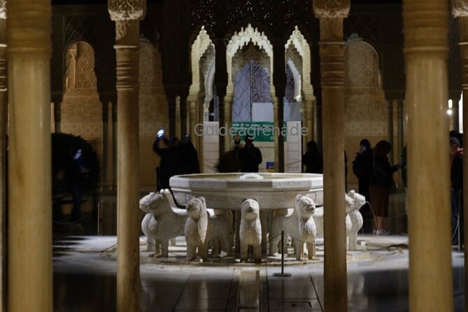 Night Tour of Alhambra and the Nasrid Palaces - Starting Point and Tour Logistics