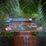 night tour poça da beija 99.99 entries and dinner included - Scenic Viewpoints and the Drive to Furnas