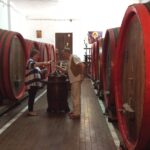 Nis Sightseeing Tour - Starting Point and Tour Flexibility