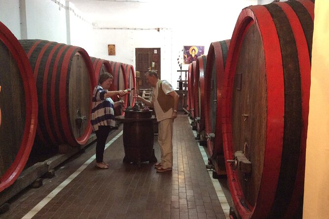 Nis Sightseeing Tour - Starting Point and Tour Flexibility