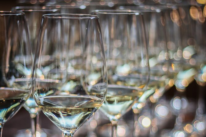 Non-Alcoholic Wine Tasting with an Expert - The Unique Focus on Alcohol-Free Wines in Lisbon