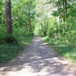 Noordwijk: Beach and Dunes Bike Tour - Starting from Noordwijkerhout’s Charming Square