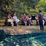 North Corfu Olive Tour With Olive oil Tasting & Meze - Exploring the Historic Olive Mill and Press