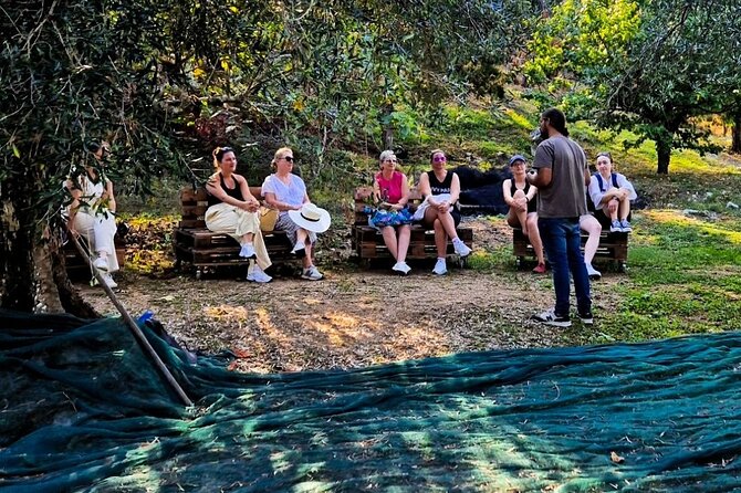 North Corfu Olive Tour With Olive oil Tasting & Meze - Exploring the Historic Olive Mill and Press