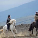 North Iceland: Horseback Riding Tour - Exploring the Diverse Landscapes of North Iceland