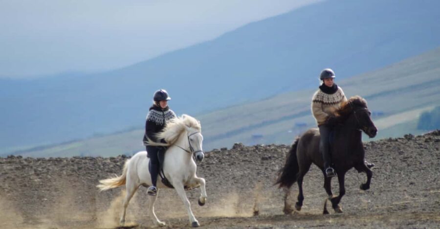 North Iceland: Horseback Riding Tour - Exploring the Diverse Landscapes of North Iceland