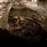 North Lanzarote: Cave, Jameos del Agua, and Viewpoint - Jameos del Agua: Cesar Manrique’s Unique Creation