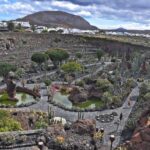 North Lanzarote: The Work of César Manrique - Exploring Lanzarote’s Iconic Cactus Garden