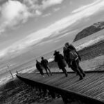 North Wales Adventure Sightseeing Day Trip from Liverpool - Exploring Castell Conwy: An Edward I Fortress