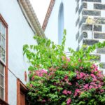 North West Tenerife Secrets - Starting Point at Santiago del Teide for Mountain Vistas