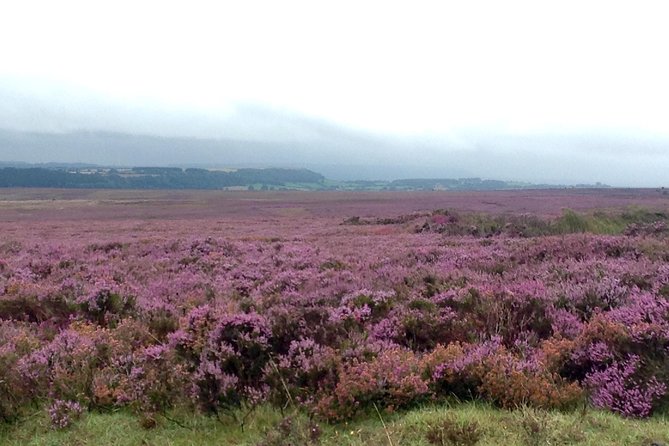 North York Moors and Whitby Day Tour from York - Scenic Drive Through the North York Moors National Park