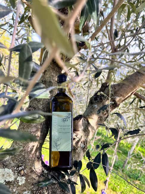 Northern Istria: Olive Oil Tasting with scenic landscape - Scenic Views Over Motovun and the Mirna Valley