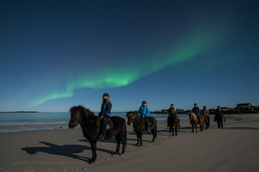 Northern light on horseback - Riding Icelandic Horses Along the Arctic Coast