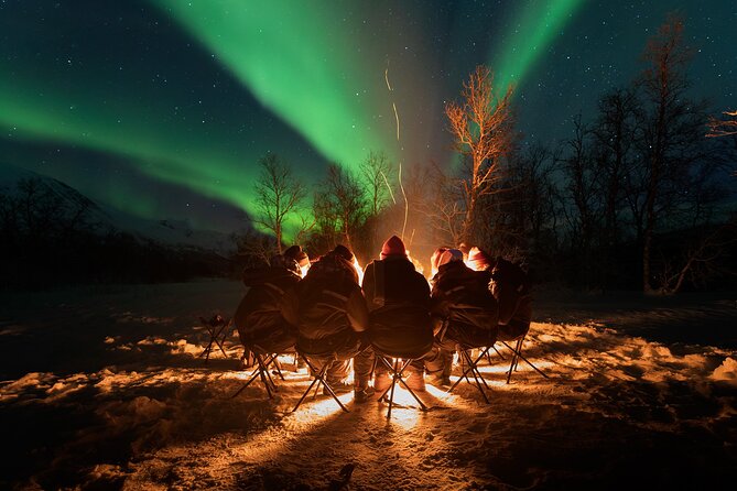 Northern Lights by Minibus. Photos Under the Lights included. Tromso - How the Tour Finds the Perfect Spot for the Aurora