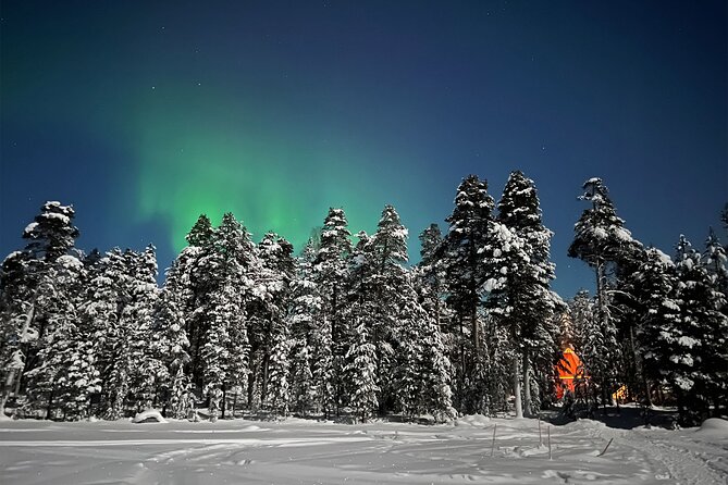 Northern Lights Holiday in Finland - In-Depth Visits to Reindeer Farms and Sámi Culture