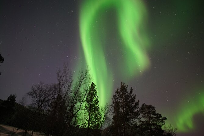 Northern Lights Hunt - How the Tour Tracks the Aurora Forecasts in Real Time