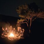 Northern Lights Minibus Chase from Tromso - Expert Guidance and Photography Support