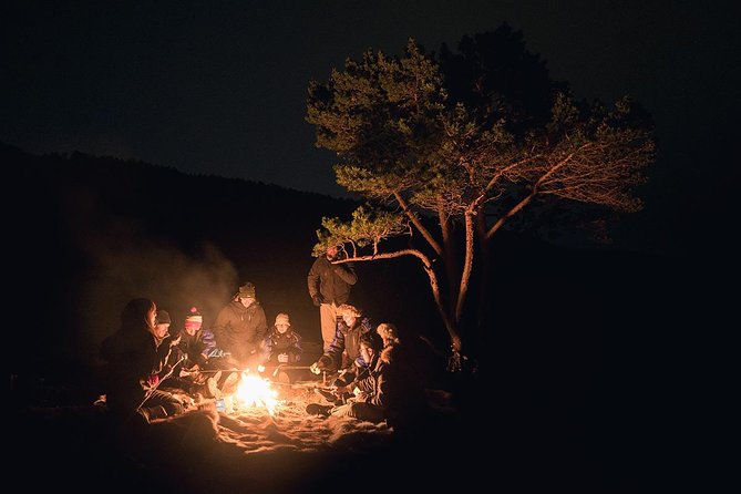 Northern Lights Minibus Chase from Tromso - Expert Guidance and Photography Support