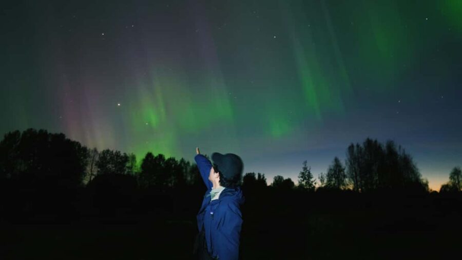 Northern Lights photography tour with BBQ - Customer Feedback and Variability in Experience