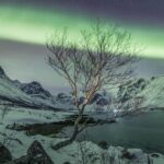 Northern Lights Private tour with your special ones - Greenlander - Expert Guidance for Aurora Photography