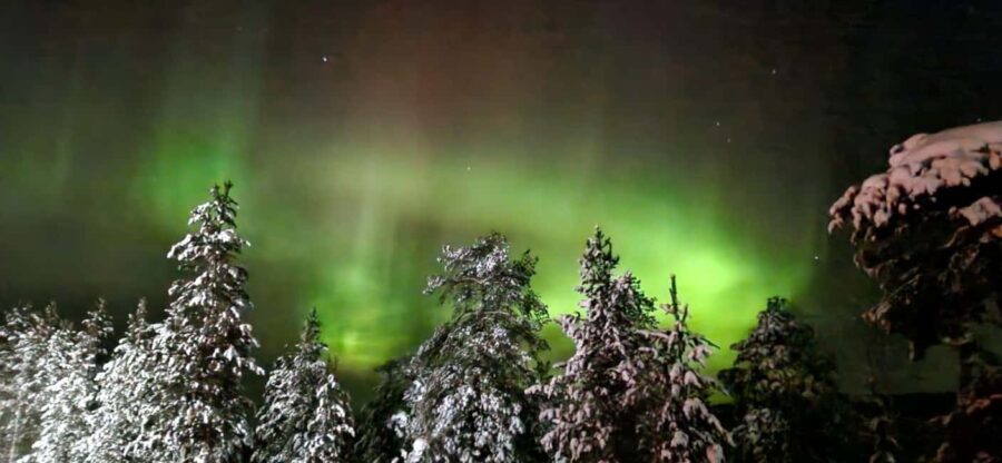 Northern Lights Snowshoe Hike in Levi with Latvian Guide - The Scenic Starting Point and Meeting Details