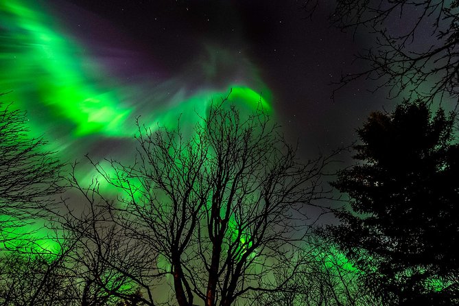 Northern Lights Tour from Reykjavik with Lifetime Guarantee - The Itinerary: From Reykjavik to Prime Aurora Viewing Spots