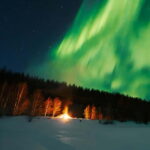 Northern Lights Tour Sleigh Ride - Private Forest Access: A Secluded Arctic Escape
