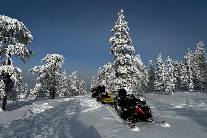 Northern Lights Tour Snowmobile Driving - Driving Snowmobiles in Finland’s Winter Wilderness