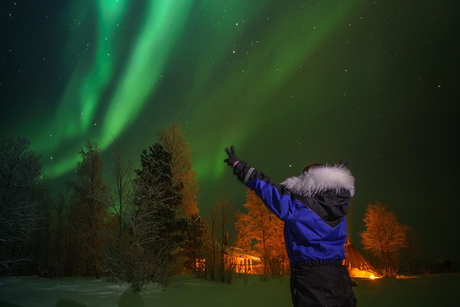 Northern lights tour to Lake Inari from Ivalo, Reindeers & Dinner - Visiting Lake Inari in the Darkness of Lapland