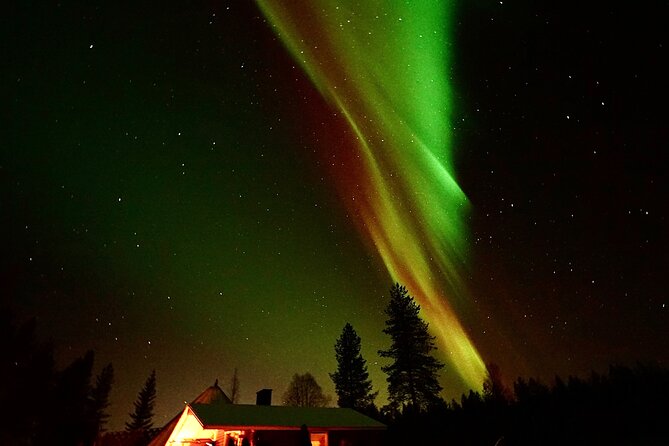 Northern Lights Trip to a Magical Place in Lapland - The Experience at the Cozy Cabin or Kota