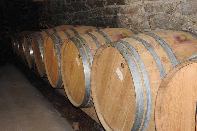 Northern Rhône Valley From Lyon Full day - The Charm of Ampuis and Its Vineyards