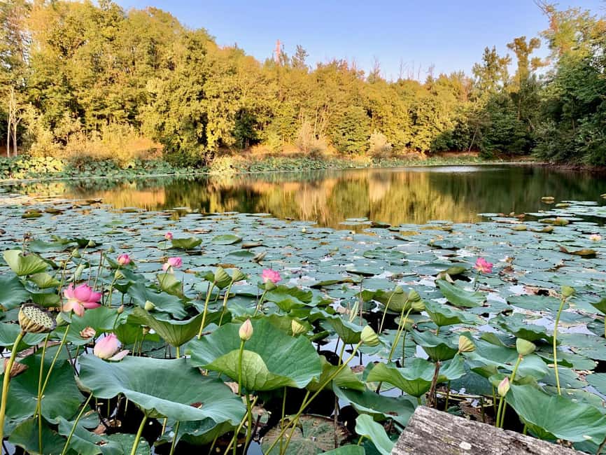 Novi Ligure: Vineyard Estate Tour & Lake Walk with Tasting - Scenic Starting Point with Panoramic Views