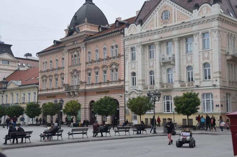 Novi Sad Private Walking Tour - Starting at Novi Sad Synagogue: The Meeting Point