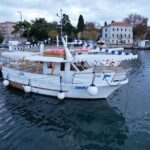 NP Brijuni Island Swimming & Dolphin Watching Sunset Cruise - Starting from Pula Harbor to Scenic Seas