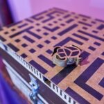 Nürnberg: Scavenger Escape Room: Egyptian Adventure - Navigating the Mysteries of the Egyptian Bazaar and Pharaohs Tomb