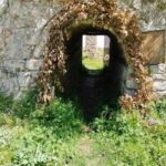 Nydri: Discover Local Culture, History & Beauty Guided Hike - Nature and Shade in Skaros Woods