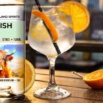 Oban: West Highland Spirits Gin Tasting - Key Points
