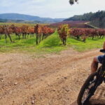 Óbidos: E-Bike Tour to Quinta do Gradil with Wine Tasting - Scenic Trails through Oeste’s Rural Landscapes