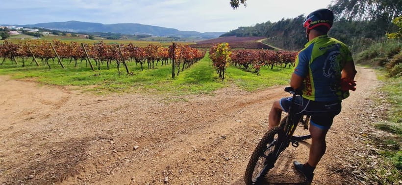 Óbidos: E-Bike Tour to Quinta do Gradil with Wine Tasting - Scenic Trails through Oeste’s Rural Landscapes