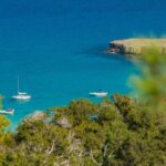 Ocean Blue Celebrity Blue Lagoon Cruise (Morning and Afternoon) - Departure from Latchi Watersports Centre in Cyprus