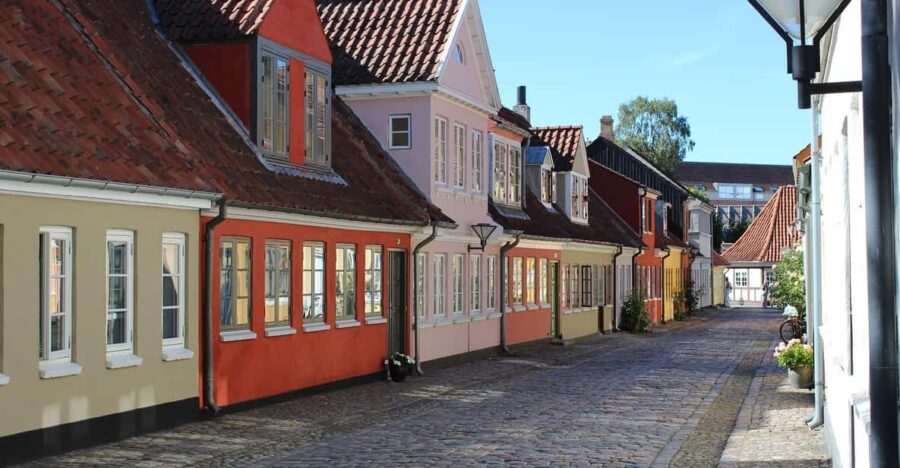 Odense Private Guided Walking Tour - Discover Odense’s Historic District and Medieval Roots