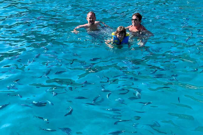 of Sagone/Cargèse Cruise Walk Swimming and Leisure - Relaxing at Plage dArone: A Secluded Swimming Spot