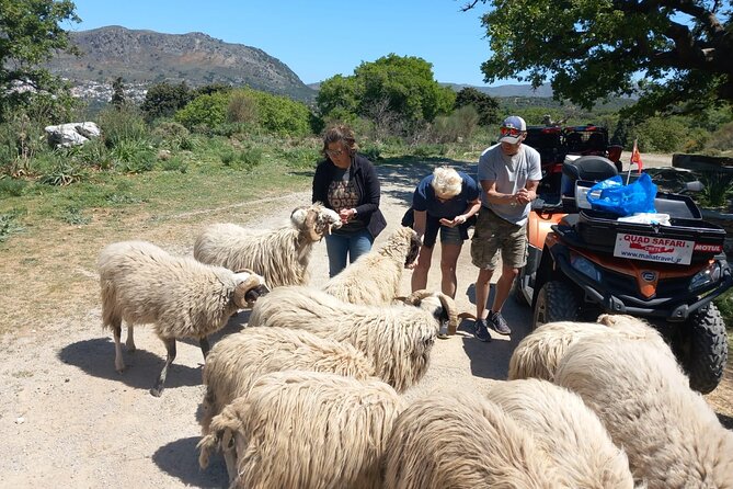 Off-road Buggy Safari in Crete with a Guide - Coffee Break and Scenic Photos in Milatos
