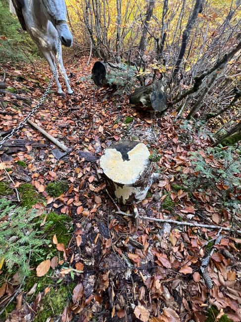 Off-Road & Hiking Adventure from Korçë to Valamara - Korçë as the Starting Point for Natural Exploration
