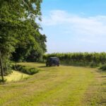 Off-road tour through vineyards and organic wine tasting at Villa Bogdano 1880 - Discovering Villa Bogdano 1880 in Veneto