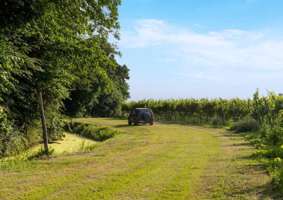 Off-road tour through vineyards and organic wine tasting at Villa Bogdano 1880 - Discovering Villa Bogdano 1880 in Veneto